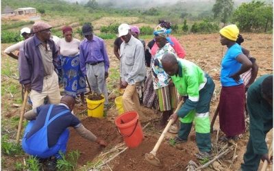 Small scale farmers prepared to withstand climate change