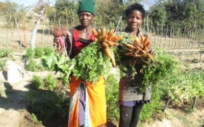 Empower families to give girls a better future