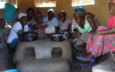 The benefits of firewood saving stoves