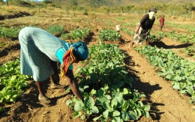 Early Action intervention builds resilience for 500 households